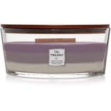 WoodWick Trilogy AMETHYST SKY Kerzen 454 g