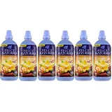 Felce Azzurra classico x 900ml Weichspüler Konzentrat