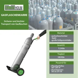 Gasflaschenkarre 100kg Traglast mit Handschutzbügel & Sicherungskette Transport von technischen Gase