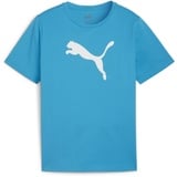 Puma Teamrise Jersey Cotton Jr Tees