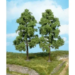 2 Buchen 18 cm Modell von Heki
