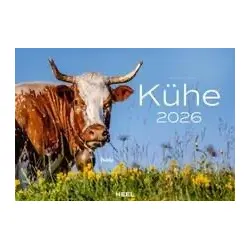 Kühe Monatskalender 2026