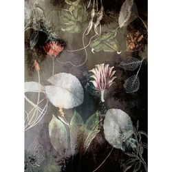 Komar Fototapete, Papier, Floral, 200×280 cm, Tapeten Shop, Fototapeten