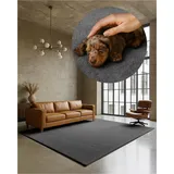 TEXMAXX Weicher Kurzflor Teppich Wohnzimmer mit rutschhemmender Rückseite (160 x 230 cm) - Modern für Flur, Esszimmer und als Schlafzimmer Teppich in Grau - Waschbar bis 30 Grad