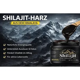 SAPURA Shilajit Harz Paste 60 g