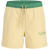 JACK & JONES Maui Archive Badeshorts Grau 176