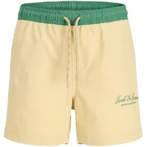 JACK & JONES Maui Archive Badeshorts Grau 176