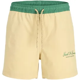 JACK & JONES Maui Archive Badeshorts Grau 176