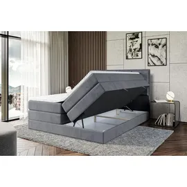 altdecor Boxspringbett NOVA KING - 160 x 200 - H3/H4 - Dunkelgrau
