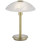 Paul Neuhaus Enova Gold
