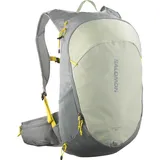 Salomon Trailblazer 20 l sedona sage/seagrass/cress green