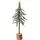 OTTO home Dekobaum Janosch Grün 50 cm