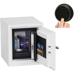 Phoenix Safe Phoenix Datacare DS2001F Datenschutztresor