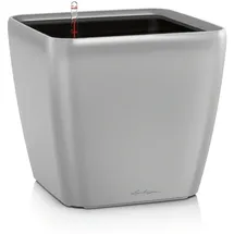 LECHUZA Quadro LS 21 Komplettset 21 x 21 x 21 cm silber metallic