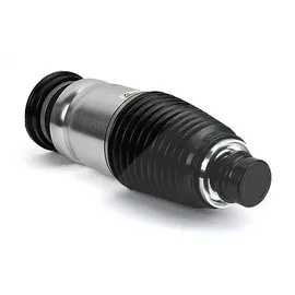 ARNOTT Luftfederbein