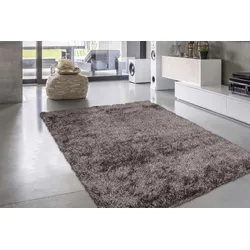Hochflor-Teppich CALO-DELUXE "Masada 900", beige (champagner), B:160cm H:40mm L:230cm, Kunstfaser, Teppiche, Wohnzimmer