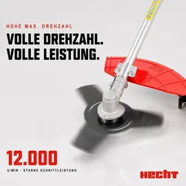 Hecht 129 BTS