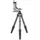 leofoto Stativ Ranger LS-365C + PG-1 Gimbal head kit