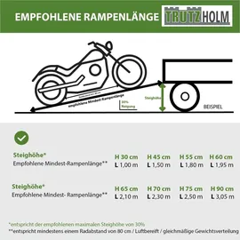 Trutzholm Auffahrrampe 1020 kg