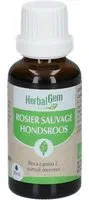 HERBALGEM - Rosier Sauvage Bio Complément Alimentaire Extrait De Bourgeon Frais Pour Défenses Naturelles 30 ml Goutte(S)