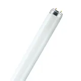 Osram Lumilux T8 L 18W/830 G13