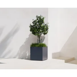 Herstera Blumenkasten 50 x 50 cm Anthrazit