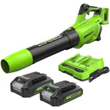 Greenworks 48V(2x24V) Axial Akku Laubbläser mit bürstenlosem Motor, Turbofunktion, 217 km/h, 16,4 m3/min, PLUS zwei 24V 2Ah Akkus & Ladegerät, 3 Jahre Garantie GD24X2ABK2X