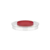 Mepal Spritzschutzdeckel Chef it 3000 ml Kunststoff Rot