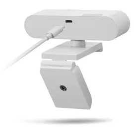 Lenovo GXC1D66063 Webcam - Farbe - 1920 x 1080 Pixel USB-C Grau