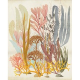 KOMAR Vliestapete Catchy Corals 200 cm, x 250 cm