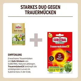 substral® naturen® Naturen Bio Gelbstecker Insektenvernichter 15 Stück