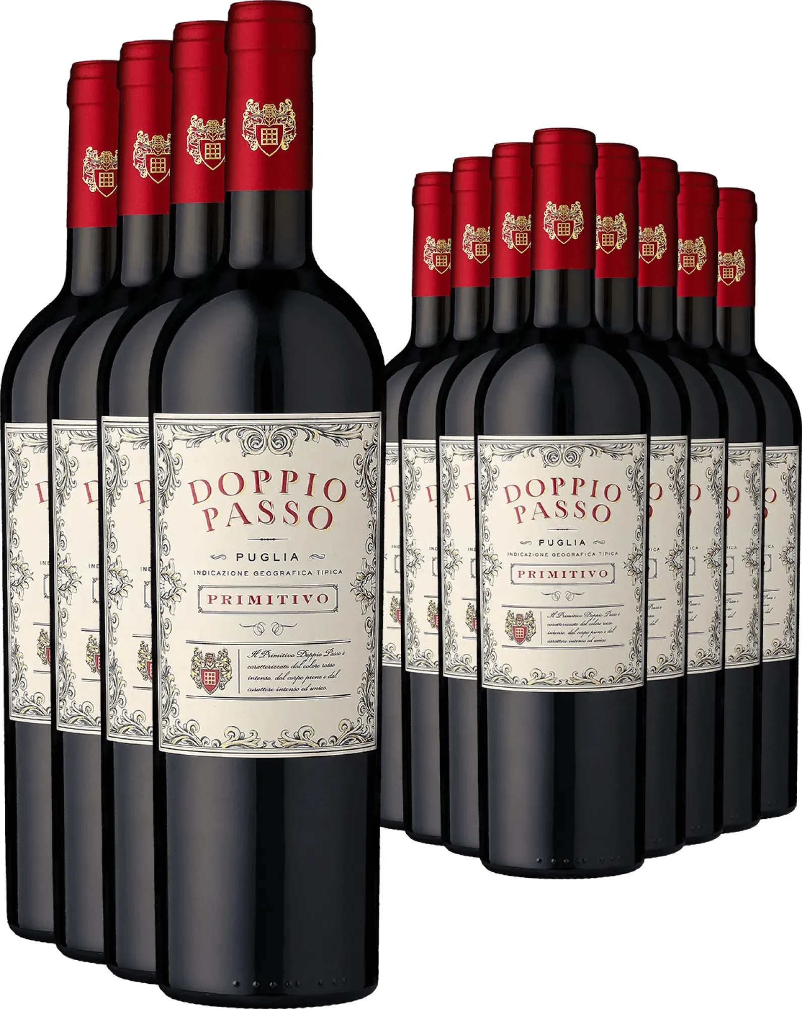 8+4-PAKET Doppio Passo Primitivo 2024