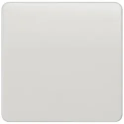 Siemens 5TG7801 DELTA profil Wippe neutral, titanweiß