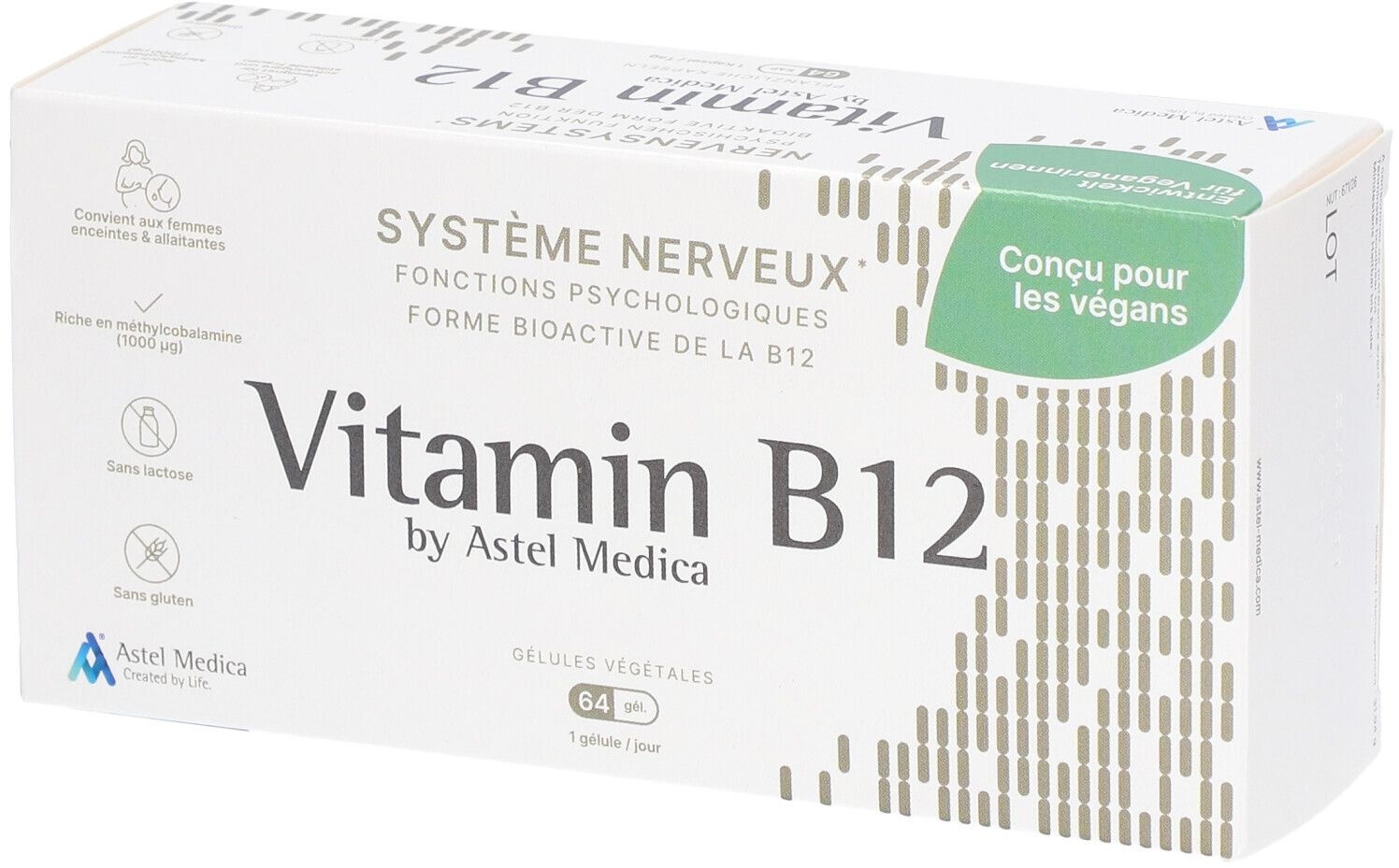 Systeme Nerveux Vitamine B12