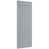 Möbel Kraft Garderobenpaneel grau , Holzwerkstoff,Glas , Maße cm, B: 60 H: 170 T: 10.0