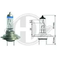 Diederichs Glühlampe, Hauptscheinwerfer VW,MERCEDES-BENZ,AUDI LID10066