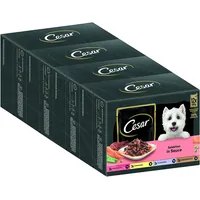 Cesar Adult Hundenassfutter Selektion in Sauce, 48 Portionsbeutel, 12x100g (4er Pack) – Ausgewogenes Premium Hundefutter nass, Auswahl mit Rind, Huhn, Lamm und Truthahn