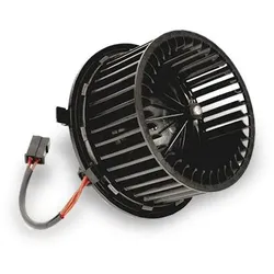 PRASCO Elektromotor, Innenraumgebläse MERCEDES-BENZ MS8607 1698200642,A1698200642