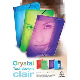 Exacompta Sichtmappen mit Ringen und 30 Hüllen, kristall