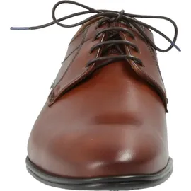 LLOYD Osmond braun 40,5