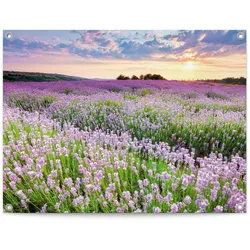 Poster REINDERS "Lavender Field", lila (farbe bild(er): lila), B:80cm H:60cm T:0,1cm, Bilder