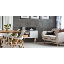 TechniSat DigitRadio 4 C schwarz/silber