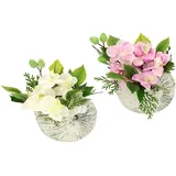 I.GE.A. Flair Flower Künstliche Orchidee 17x20x10cm in Muschel Schale 2er Set Künstliche Blume Phalaenopsis Kunstorchidee Rispe Kunstpflanze, weiß/rosa