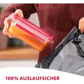 Emsa Frischhaltedose rechteckig rot 26,5 x 19,5 cm 2 l