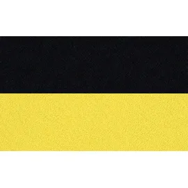 Alvi Baby Schlafsack Player BVB 2025 Gelb 100