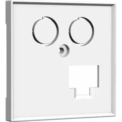 Homeway Zentralplatte one. TV+LAN 55x55mm rw HW-Z0LRWG55V1