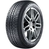 Aptany Winter-Max U1 RW611 185/60 R15 88T XL