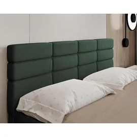 panda möbel Boxspringbett 180 x 200 cm Grün