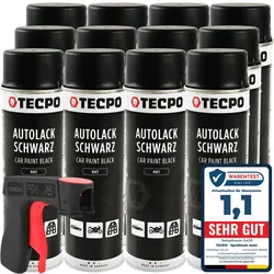12x TECPO Autolack schwarz matt 500 ml + Pistolengriff