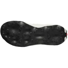 Salomon S/Lab Ultra Dust Herren Grau/Weiß 44
